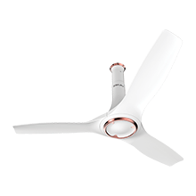 Ceiling Fans